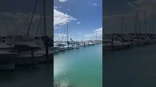 Pine harbour #chennaibeach #chennaitravel #chennaifoodie #chennaivlogger
