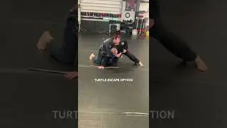 BJJ TURTLE ESCAPE OPTION #nogigrappling #nogi #brazilianjiujitsu #brazilianjiujitsu #bayville #bjj