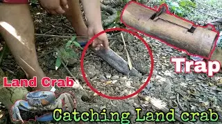 LAND CRAB CATCHING USING BAMBOO TRAP | KUNGO O KURAY | Catch 'n Cook