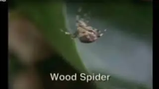 Linked universe on drugs
