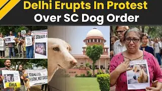 Supreme Court On Stray Dogs: Animal Rights Activists, Dog Lovers Protest In Delhi Against SC Order