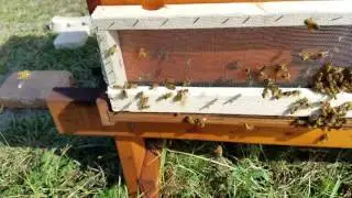 DIY robber screens