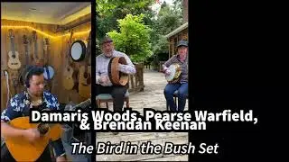 Bird in the Bush set: Damaris Woods, Pearse Warfield, & Brendan Keenan