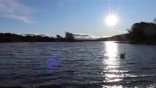 Free Lake Stock Footage