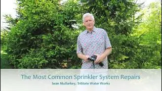 3 Most Common Lawn Sprinkler System Repairs