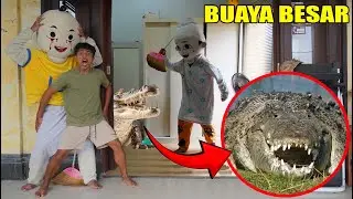 GAWAT!! ADA BUAYA BESAR DI KAMAR OPAH?!