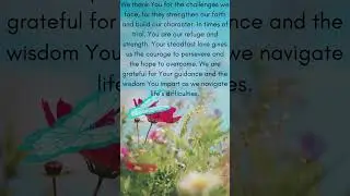 #prayer #prayers #praying #thankfulprayer #thankfulprayers #thankfulprayer🙌🙏 #thankfulprayers🙏