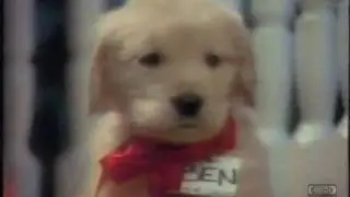 Dirt Devil at Best Buy | Christmas Television | Commercial | 1997