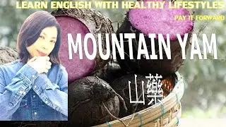 Learn English with Healthy Lifestyles - Mountain Yam/Chinese Yam (山藥)