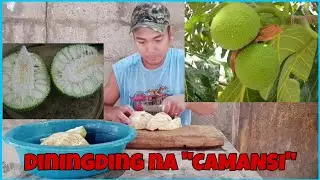 PAKAK | Jetsam Channel