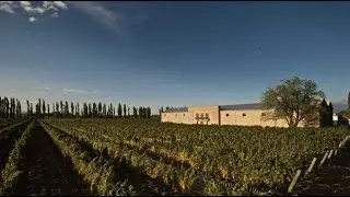 BODEGA CASARENA, LUJAN DE CUYO, MENDOZA