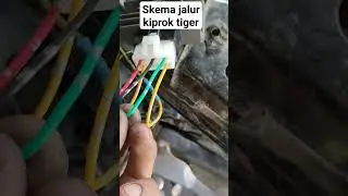 skema jalur kiprok tiger