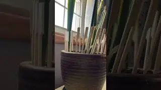 How To Protect Your House Plants From Your Cat