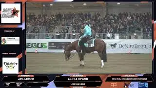 Derby 2025 - JAN GASSER & HUG A SPARK score 217
