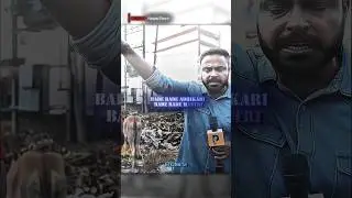 the journalist we need 💯☠️@TheNewsPinch #newspinch #bihar #fearless