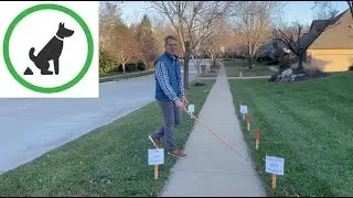 Should Dogs Poop in Your Yard?