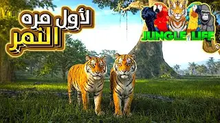 هل النمر قوي؟ تجربة حقيقية في Jungle Life | Roblox ⚔️🐅