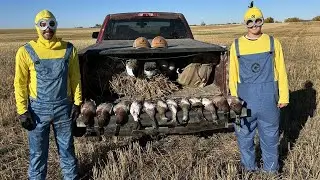 Minion Halloween Hunt | North Dakota (Limits)