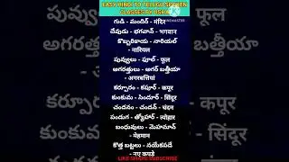 హిందీలోని చిన్నచిన్న పదాలు తెలుగులో #basichindi #telugu #easyhindi #hindi #spoken #learnhindi #educa