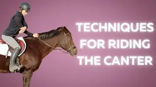 Techniques for Riding the Canter