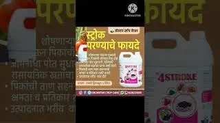 4stroke yous in tomato | 4 स्ट्रोक कैसे युज करे | 4 stroke kya hai #4strock #drkisan