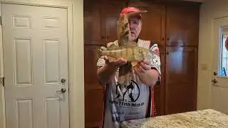Tips and Tricks to taking great fish pictures!!