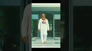 Ilan Tobianah Zeus