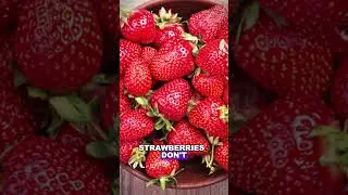 3 Mind-Blowing Facts You Didn&rsquo;t Know | Quick Facts in 50 Seconds #amazingfacts #funfacts