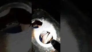 туалет клуба tunnel послание из прошлого на стенах)плавающие колонки и сабвуферы