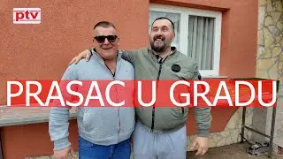 Po&scaron;tar koji dostavlja pečenje!