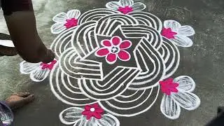 daily kolams 