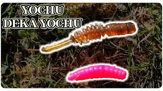 &Agrave; la d&eacute;couverte des leurres Volkien Soul  - #2 Les yochus ! Un insecte incroyable !