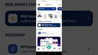 How to Input the OKX BNB Smart Chain Address in ICE Network