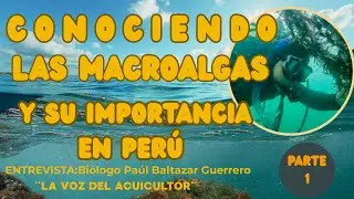 Entrevista con Blgo.Paul Baltazar :Conociendo sobre las Macroalgas y su importancia en Per&uacute; /Parte 1