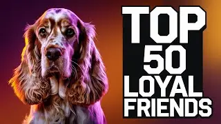 50 Dog Breeds Compared: The Good, The Bad & The Ugly