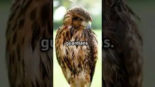 The Spiritual Meaning of Hawks: A Guide to Higher Vision and Guardianship!