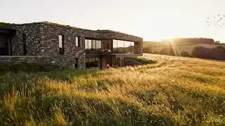 Building a Wooden House in the Middle of a Field | Alone in the Field Building House