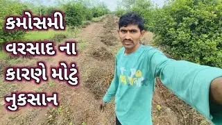 માવઠા એતો કાળો કેર વર્તાવ્યો  😱//mavda no kalo ker vtaviyo se ll gamdani jivan saili ll 