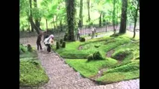 A Garden to Visit - CIbodas Botanical Moss Garden