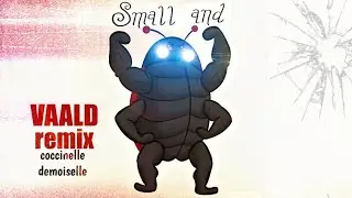 comptine TECHNO REMIX (coccinelle demoiselle) -VAALD