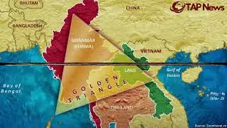 Vietnamese Fraud Ringleader Arrested in the Golden Triangle | TAP News #news #tapnews