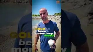 🏆 Gold or Bitcoin? Here&rsquo;s My Pick.