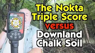 #136 Nokta Triple Score versus Downland Chalk