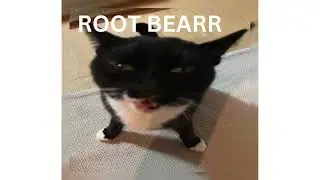 ROOOT BEER