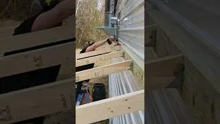 Building A Lean-To! 🔨 #diy #lean-to #shorts