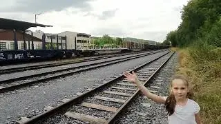 RLG 57, Holzverladung Bahnhof Sundern, 7. September 2022, Rangierarbeiten