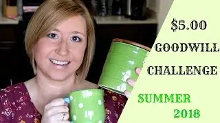 $5 GOODWILL CHALLENGE || Summer 2018 || Thrift Store