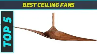 5 Best Ceiling Fans 2023