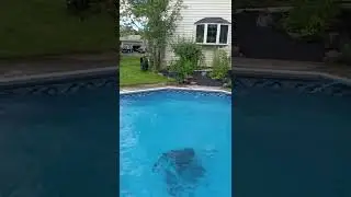 Satisfying pool jump