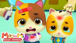 Ah Oh! Bayi Kucing Terluka | Lagu Anak-anak | MeowMi Family Show Bahasa Indonesia